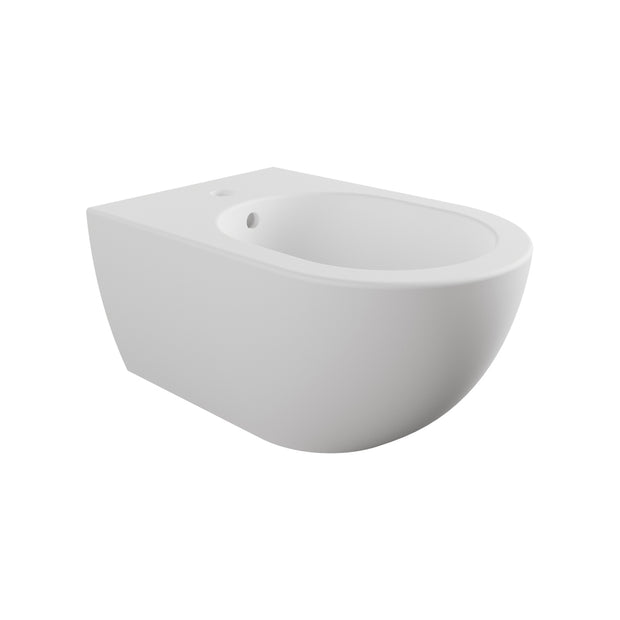 APP WALL HUNG BIDET