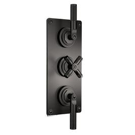 LANDMARK INDUSTRIAL THERMOSTATIC SHOWER MIXER 2 OUTLET LEVER/CROSS HANDLE